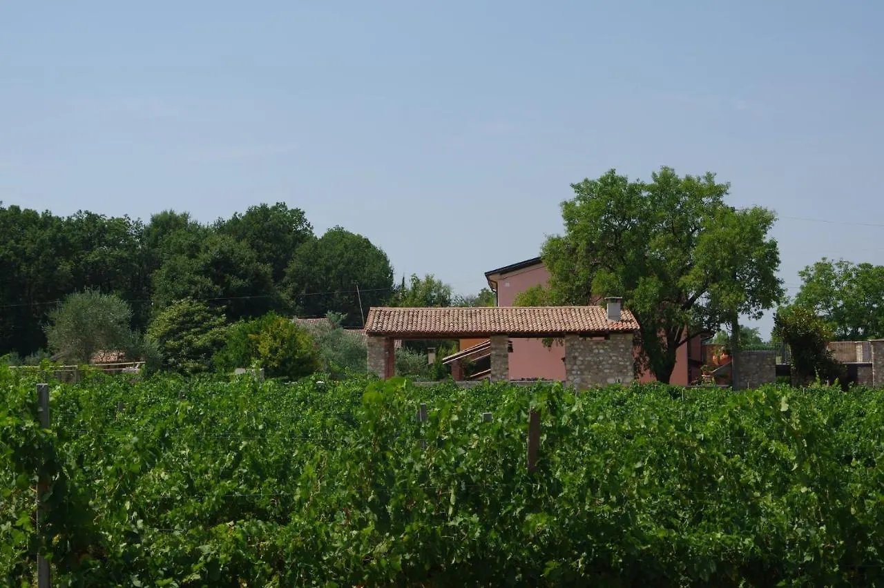 Agriturismo La Casa Del Mandorlo Monzambano 0*,  Italia
